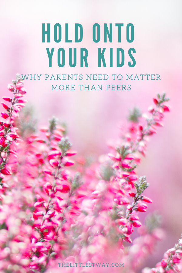 A post sharing my notes from the parenting book, Hold Onto Your Kids