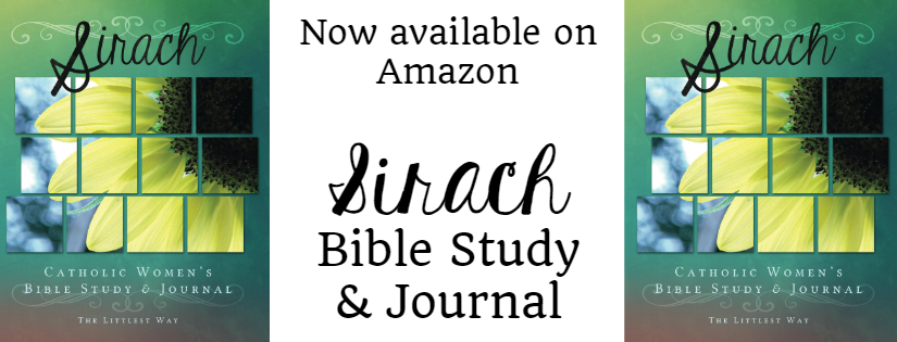 Sirach Bible study and journal