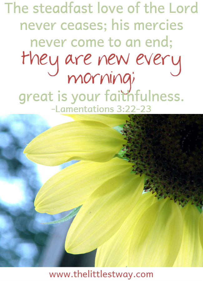 Daily Affirmations--God's mercies are new every morning.
