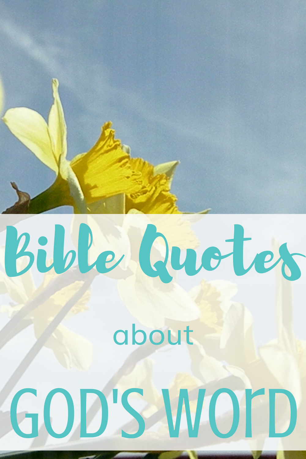 Bible quotes about God's Word for Christians