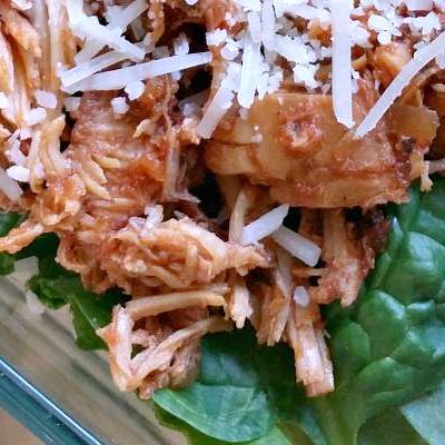 Large Family Recipes:Slow Cooker Red Chicken