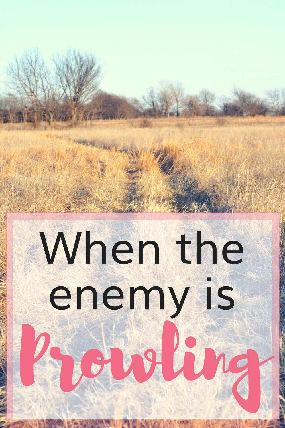 6 Things to Do When the Enemy is Prowling About